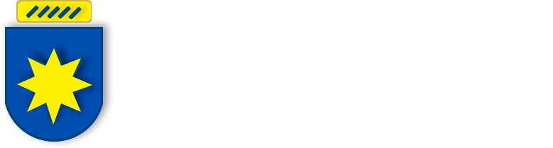 REIS Ferro e Aço